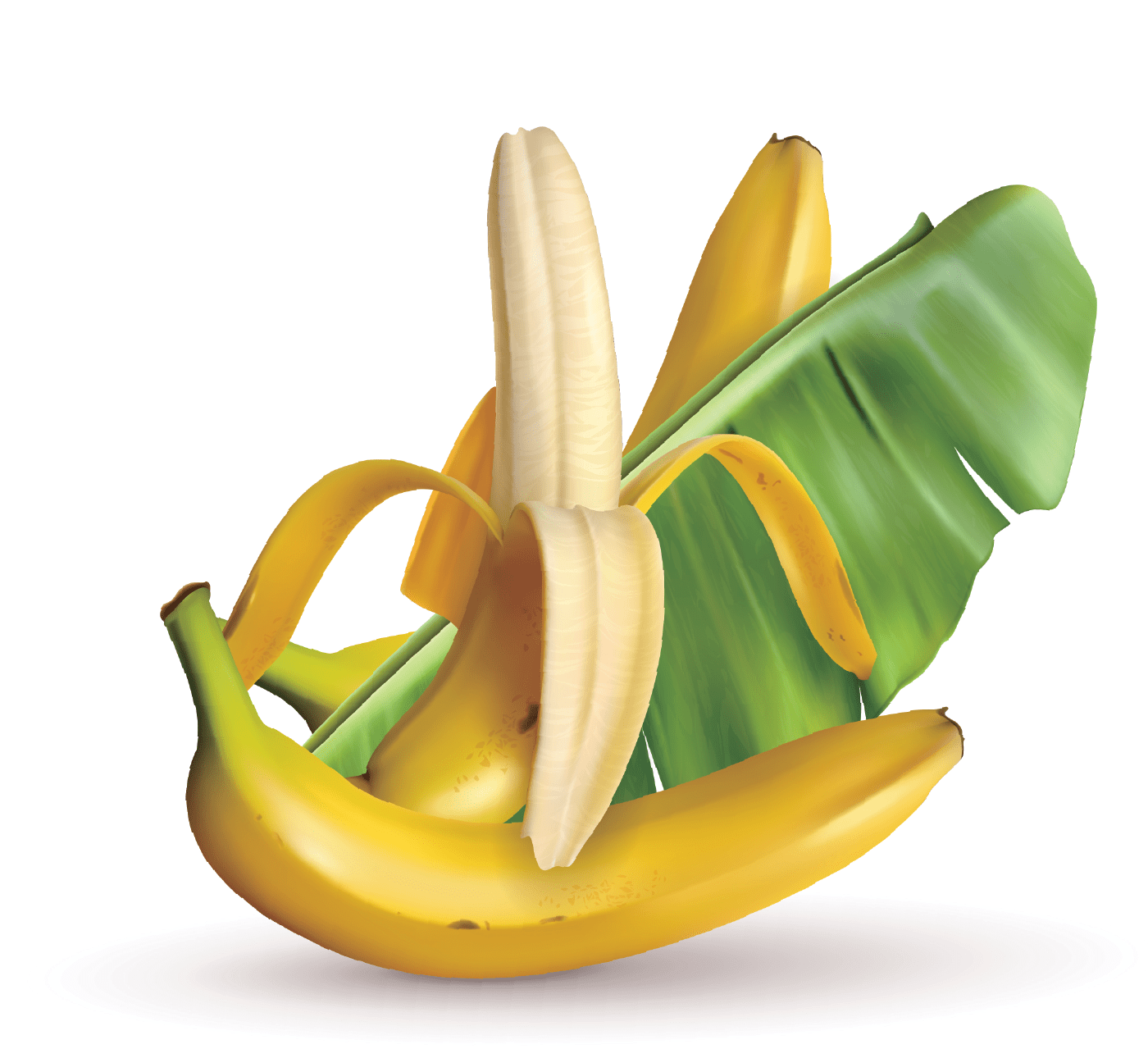 PISANG
