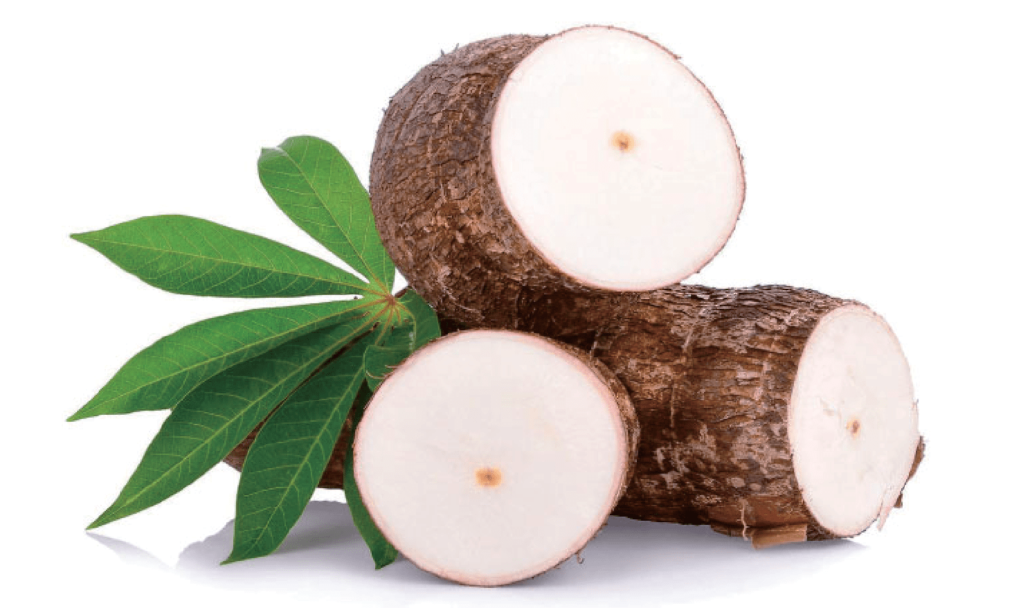 UBI KAYU